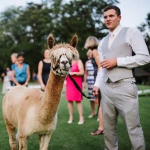 Meet your Posher, Jake